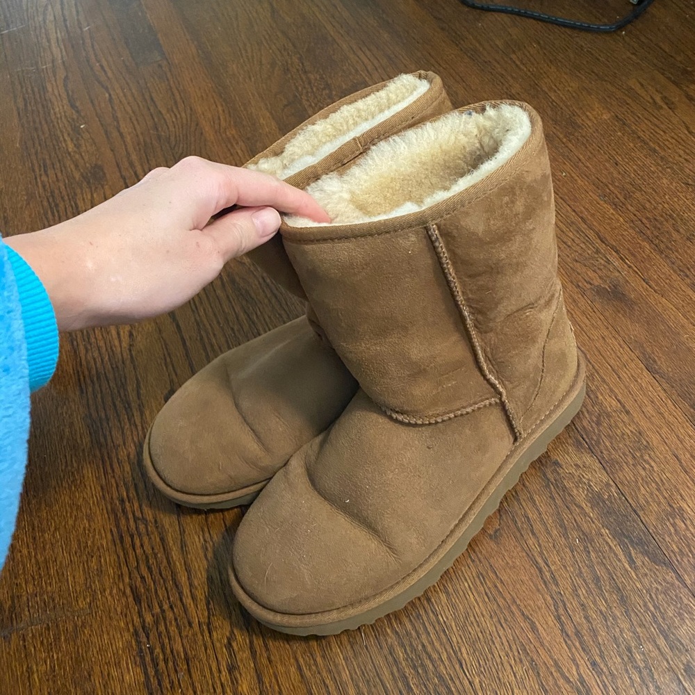 Chestnut Uggs - Picture 4 of 5